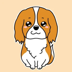 40代ママ・ココさん